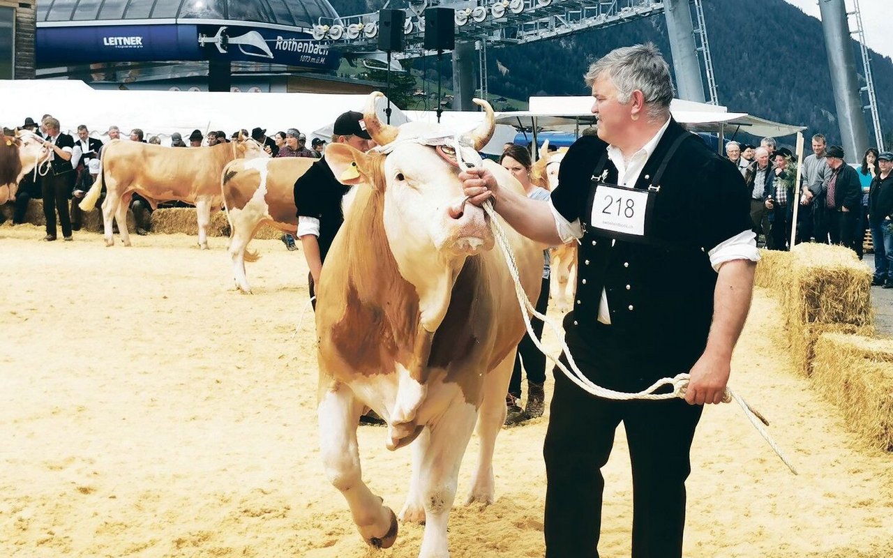 Mittags brachten die Züchter ihre Natursprungstiere in den Ring und zeigten eindrücklich, mit welcher Leidenschaft in der Region die Viehzucht gepflegt wird.