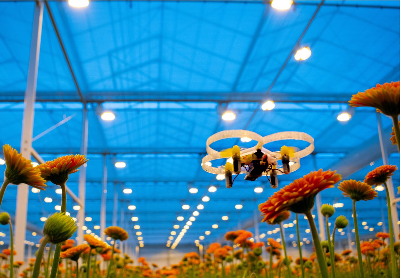 Die Mini-Drohne des niederländischen Start-ups "Pats" jagt Flugschädlinge und tötet sie mit ihren Propellern innerhalb einer Sekunde. (Bild Pats)
