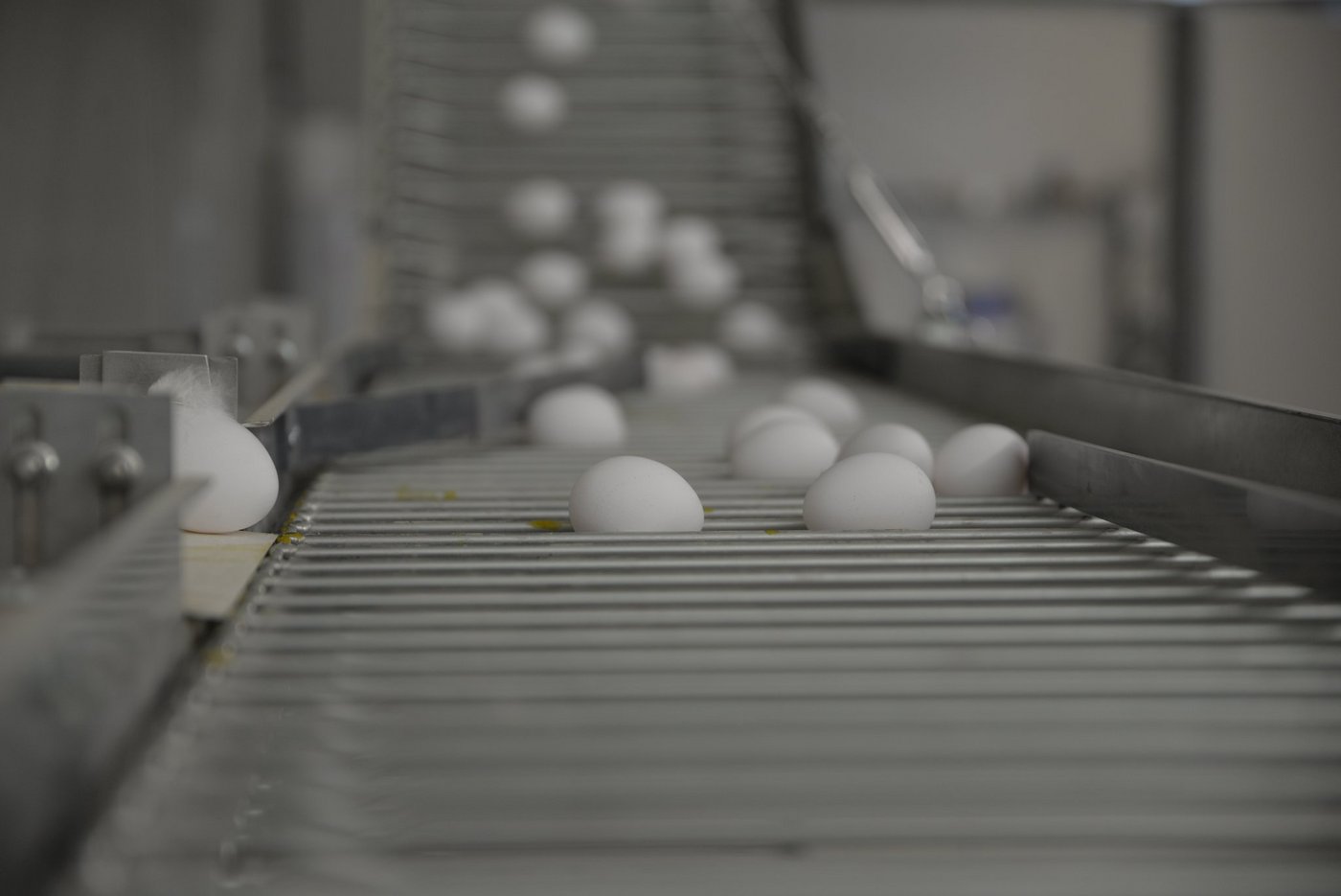 Die laufenden Ermittlungen richteten sich gegen Verantwortliche derjenigen Betriebe, die positiv auf das Insektizid getestet worden seien. (Bild Aline Küenzi)