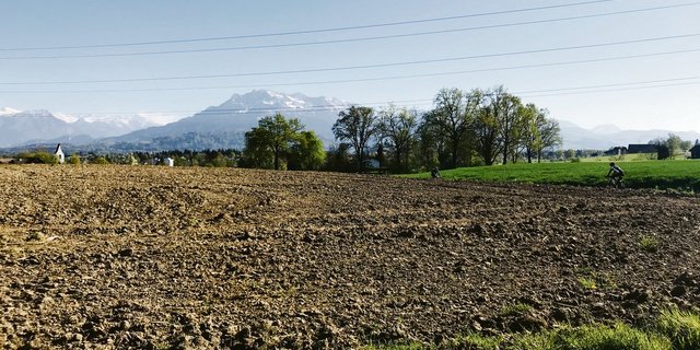 Ob wohl hier am Rand des Ackers auch Sonnenblumen gesät werden? Es wird sich zeigen …(Bild Franziska Jurt)