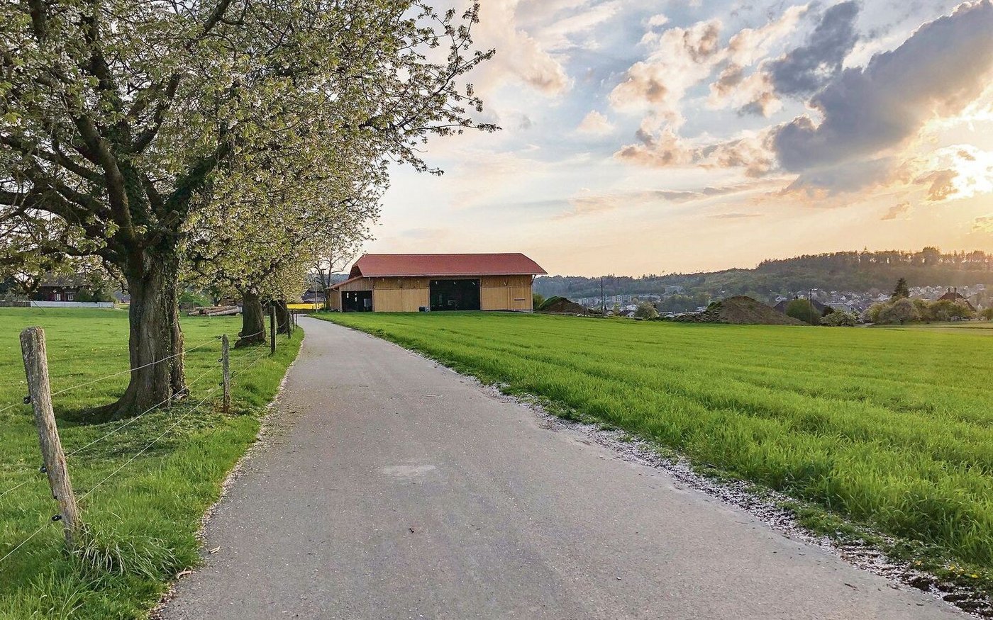 «Wozu brauchst du Lohn? Du hast ja Kost und Logis und erst noch eine schöne Aussicht!» Damit gab sich eine Bäuerin lange ab. Bis sie die Demütigungen nicht mehr aushielt und ging.