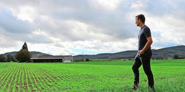Ein Leinfeld auf dem Tannenhof in Möhlin. Der Markt für Schweizer Lein ist derzeit gesättigt, David Metzger wünscht sich eine Entwicklung im Konsumverhalten. 