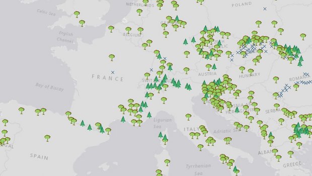 Auszug der Landkarte der letzten Urwälder Europas. 
