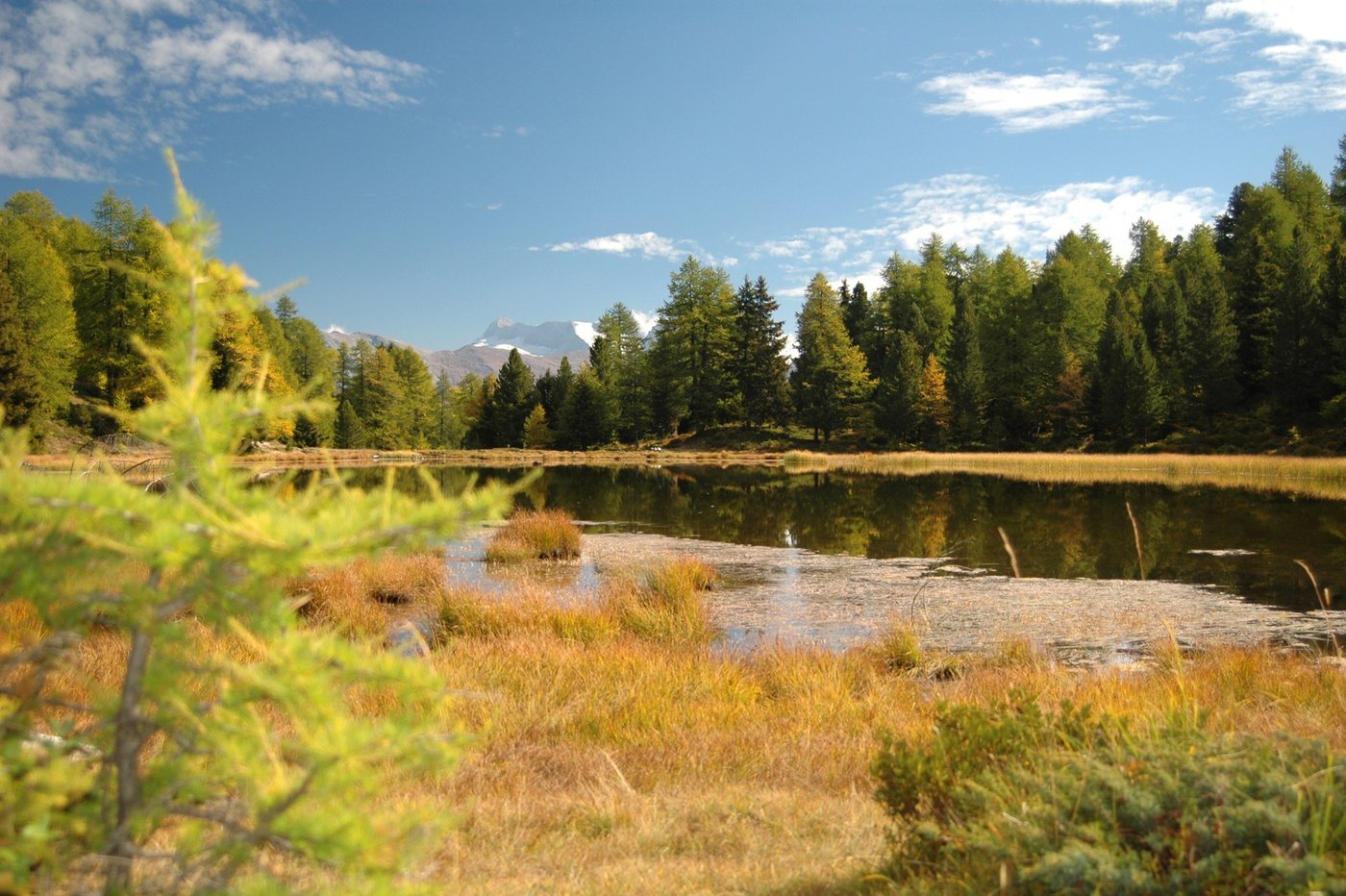 Die Bewässerung von Schweizer Hochmooren soll durch die Kompensation von Flügen finanziert werden. (Bild wallis-aktiv.ch)