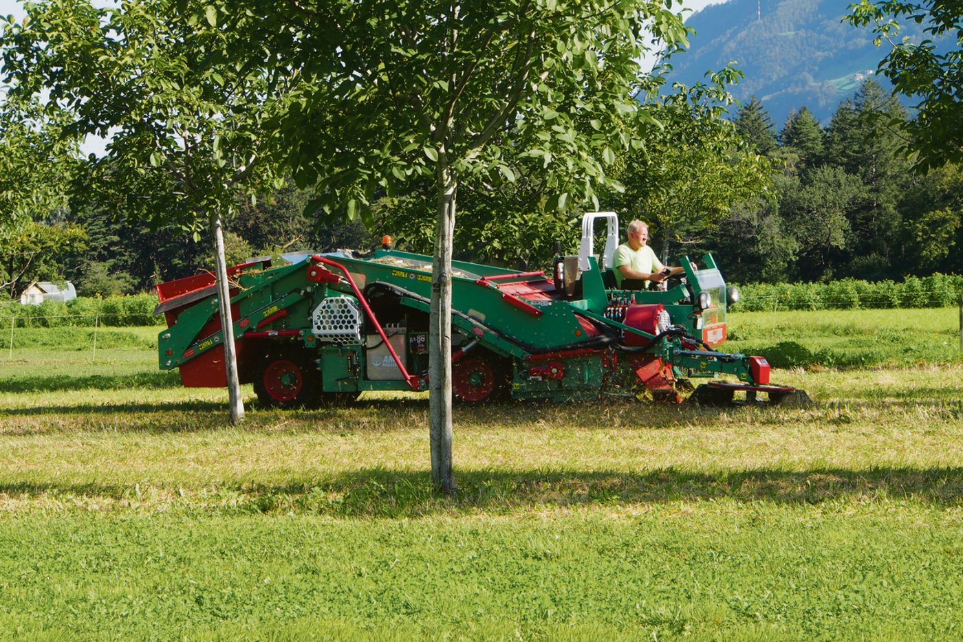 Die Mitglieder der Nussgesellschaft Wartau haben sich auch über die Möglichkeiten der Mechanisierung von Ernte und Pflege der Nüsse informiert: Christian Schlegel beim maschinellen Sammeln der Nüsse.(Bild Heidy Beyeler)
