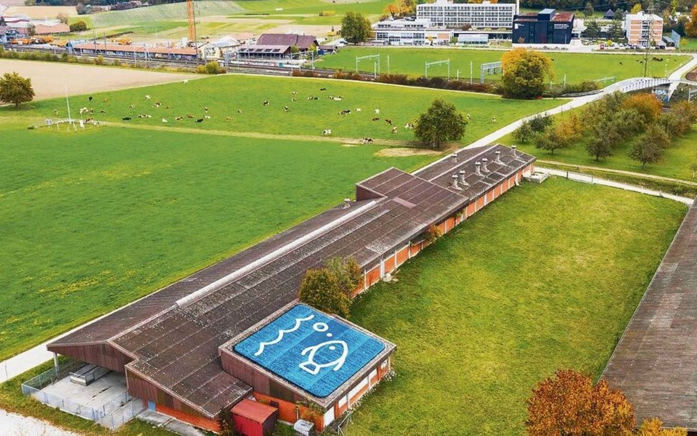 In einem kleinen Teil des bisherigen Schweinestalls am Inforama Rütti in Zollikofen BE leben nun Versuchsfische. 