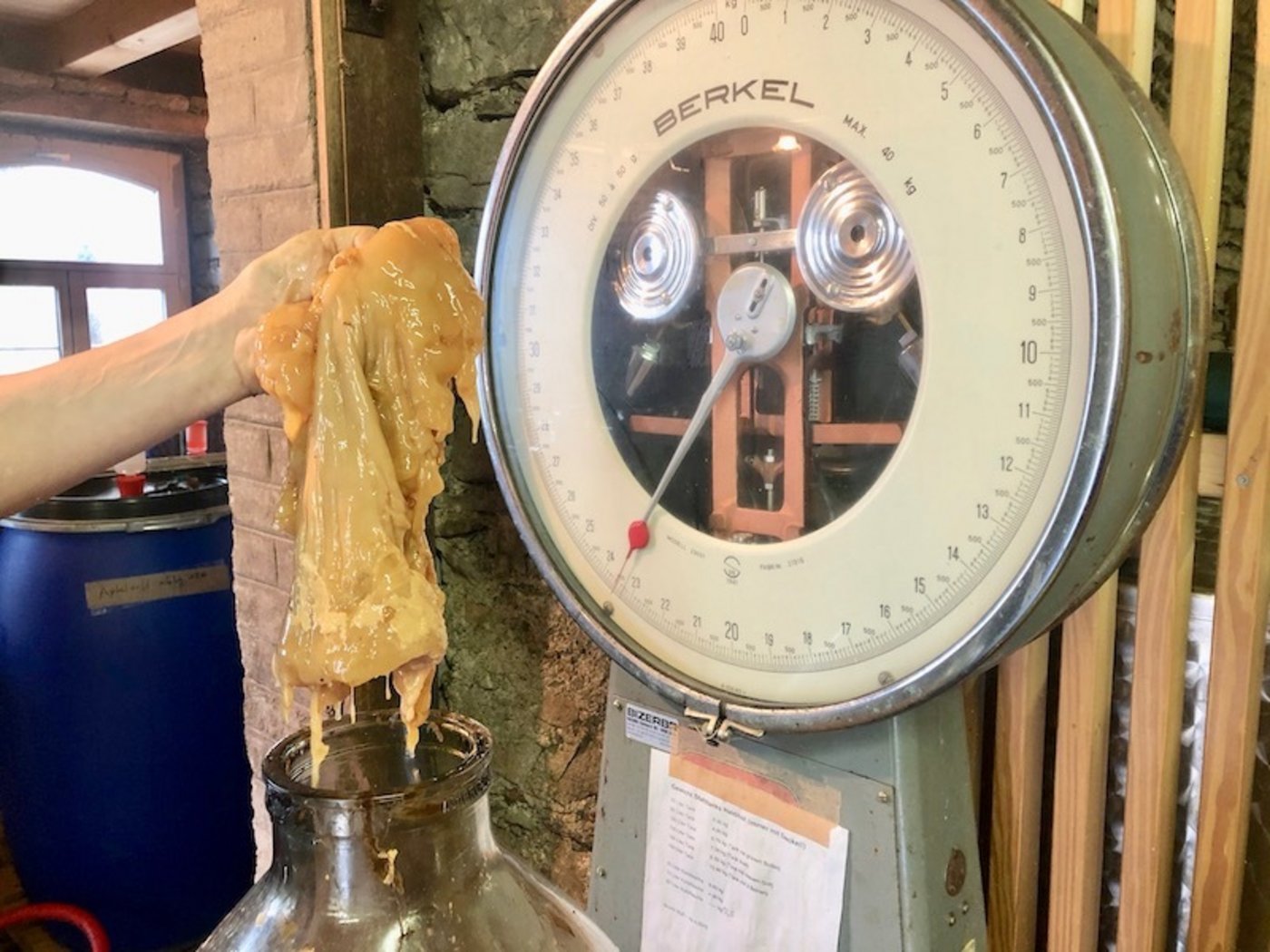 Eine riesige Essigmutter.