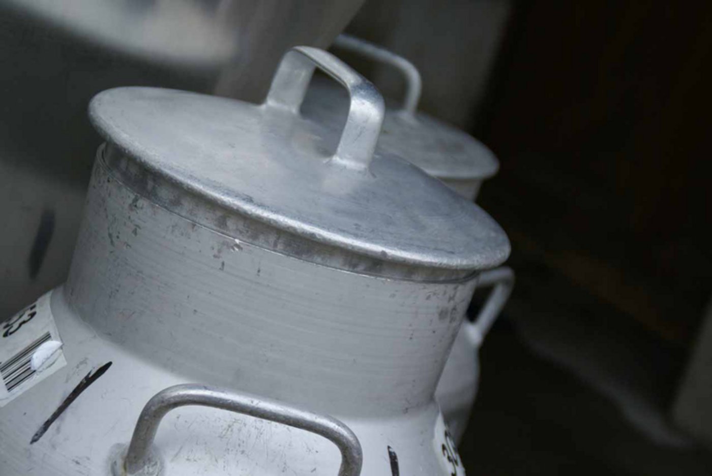 Prolait überträgt das Milchhandelsgeschäft per Anfang 2018 der Genossenschaft Mooh. (Bild lid) 