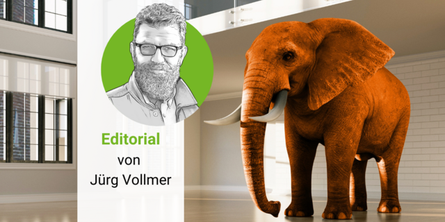 Oranger Elefant in einem grossen Raum, daneben Porträtzeichnung von Jürg Vollmer.