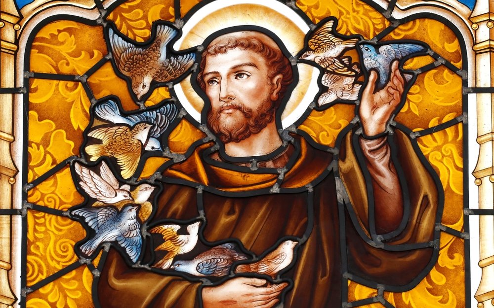 Franz von Assisi thematisierte erstmals, dass Tiere Mitgeschöpfe sind und predigte den Vögeln. 