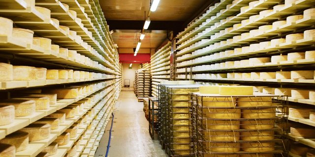 Produzenten, deren Milch verkäst wird, bekommen eine Verkäsungszulage. (Bild BauZ)