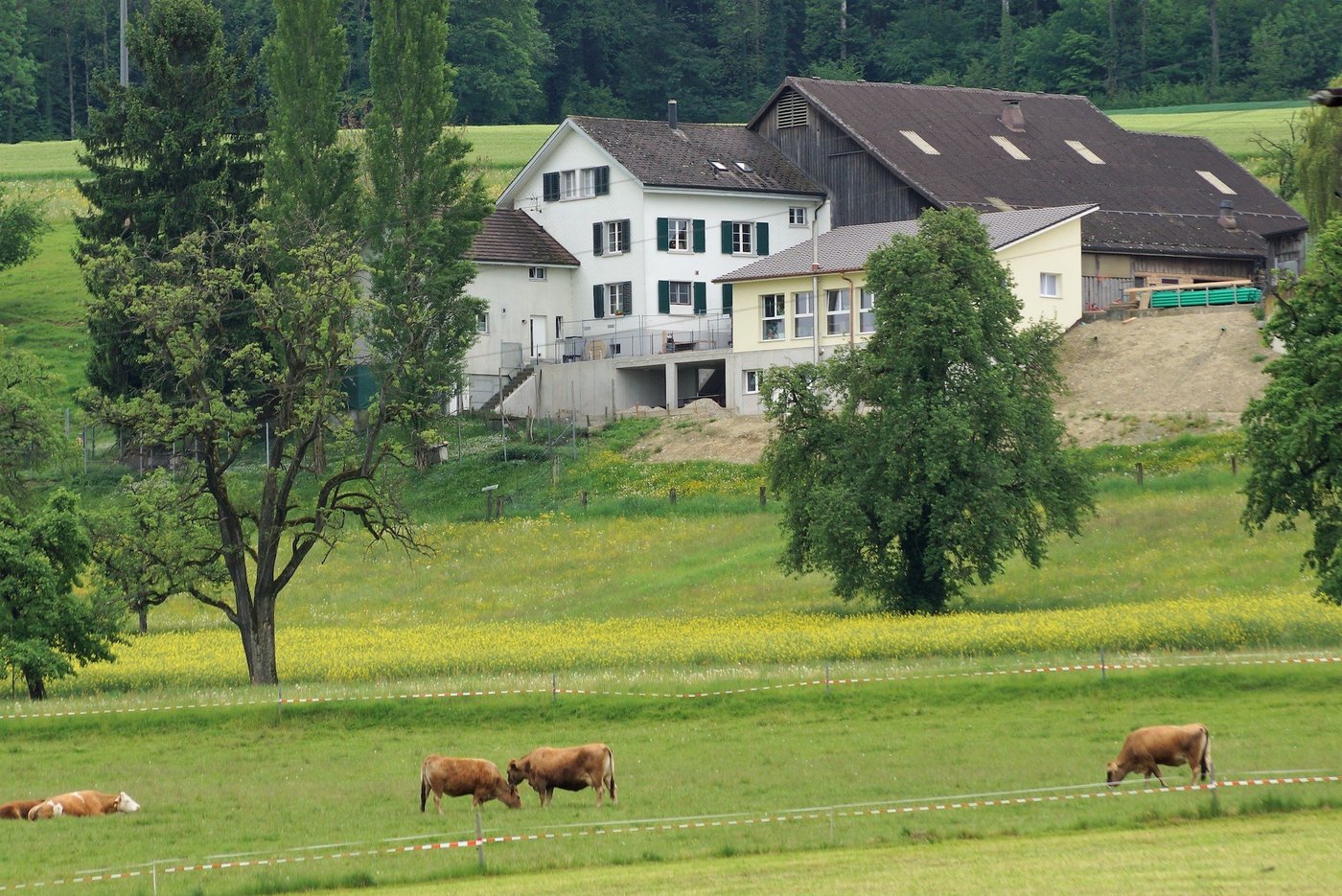 Der Abriss eines alten Gebäudes brachte Platz: Im gelben Neubau sind die Räume der Kinderkrippe und die Holzschnitzelheizung untergebracht. (Bilder rae)