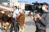 Stiere und Züchter waren an der Stierenschau gefragte Foto- und Filmsujets. (Bild Reto Betschart) 