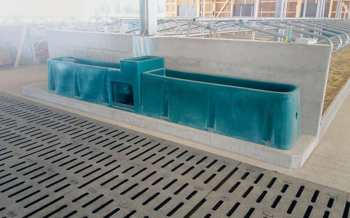 Im neuen Stall der Familie Roth in Langrickenbach sind fünf Suevia-Tränken eingebaut. 