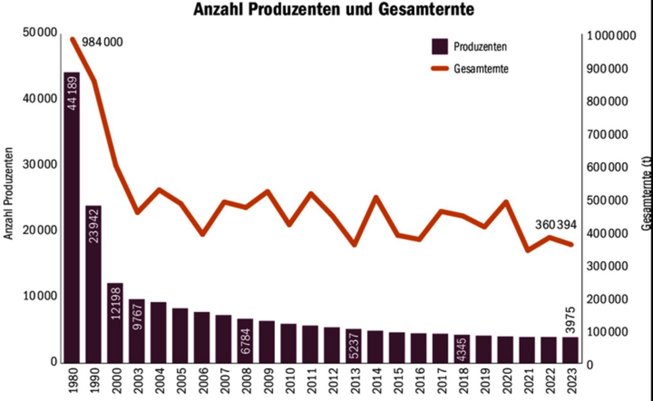 Beständige Preise trotz schwankenden Erträgen: Die Kartoffelbranche setzt auf Solidarität und vermarktet die gesamte Ernte innerhalb der ausgehandelten Preisbänder.