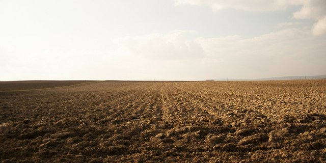 Bio-Böden haben laut dem Forschungsinstitut für biologischen Landbau FiBL unter anderem eine höhere Aggregatsstabilität, was vor Erosion schützt. (Symbolbild 34914/pixabay)