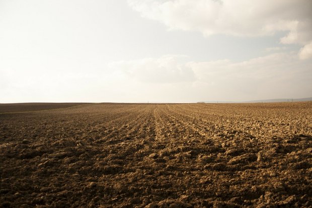 FiBL-Faktenblatt: Biologische Landwirtschaft schont das Klima Bio-Böden haben laut dem Forschungsinstitut für biologischen Landbau FiBL unter anderem eine höhere Aggregatsstabilität, was vor Erosion schützt. (Symbolbild 34914/pixabay)