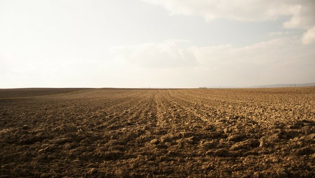 FiBL-Faktenblatt: Biologische Landwirtschaft schont das Klima Bio-Böden haben laut dem Forschungsinstitut für biologischen Landbau FiBL unter anderem eine höhere Aggregatsstabilität, was vor Erosion schützt. (Symbolbild 34914/pixabay)