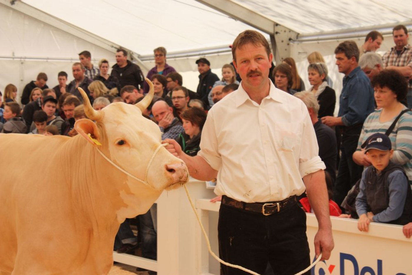Die Simmentalerzüchter, wie hier Hans Gerber, Schangnau, werden am 22. März nicht an der Starparade aufmarschieren. (Bild sb)