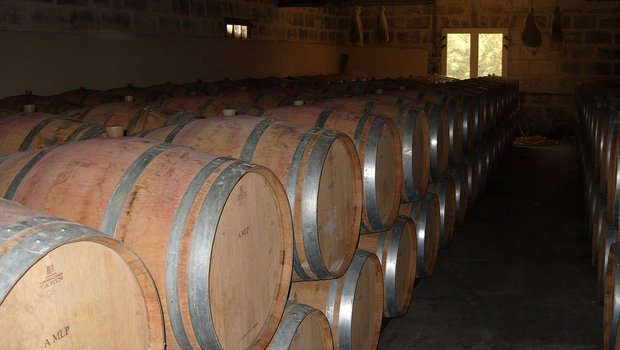 Dass die Ernte 2020 vergleichsweise klein ausfiel, dürfte angesichts der erwarteten guten Qualität des Weins und der Absatzschwierigkeiten durch die Corona-Krise kein Problem sein. (Bild ColinB / Pixabay)