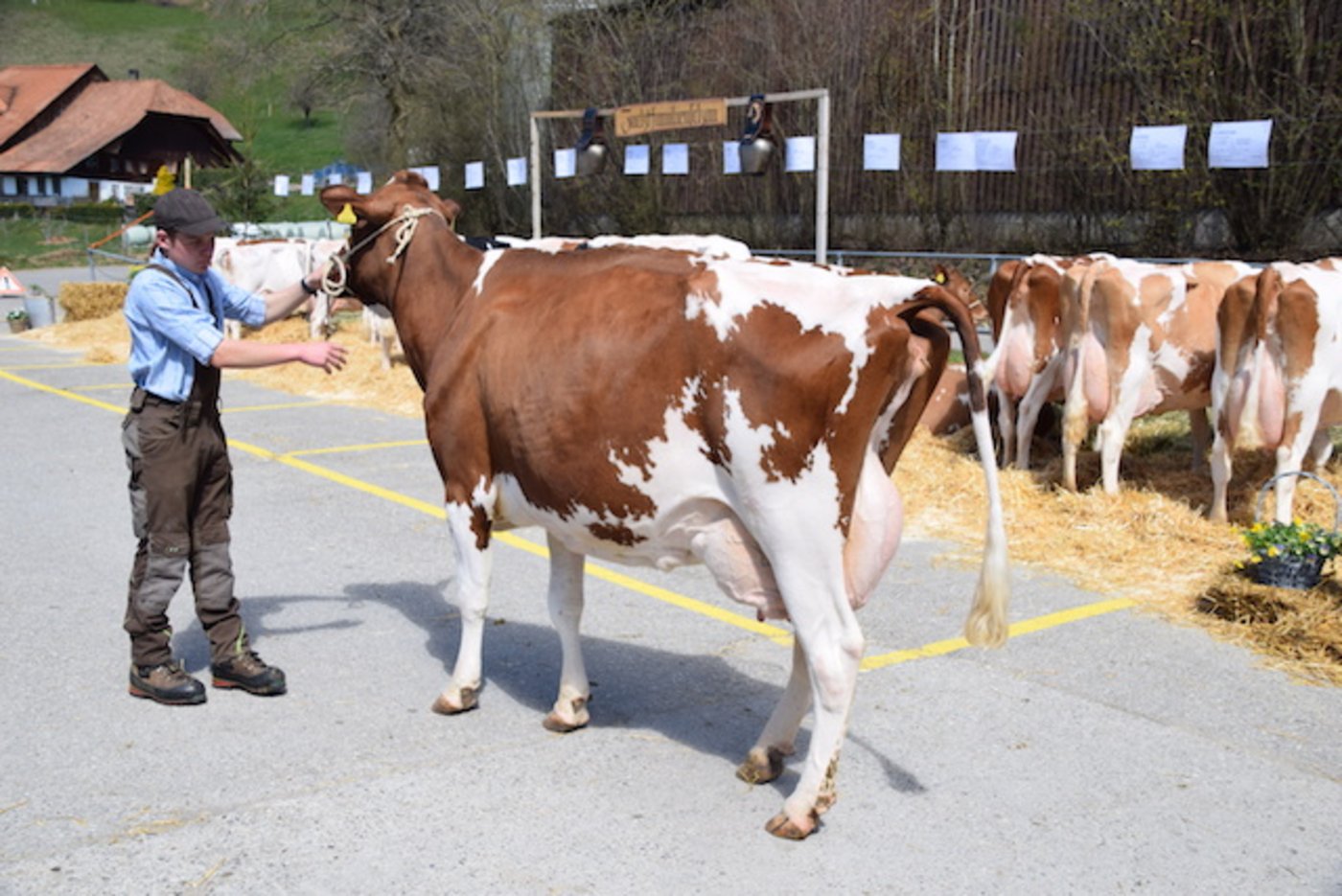Nur jetzt keinen falschen Tritt: Denn jeder Punkt zählt. 