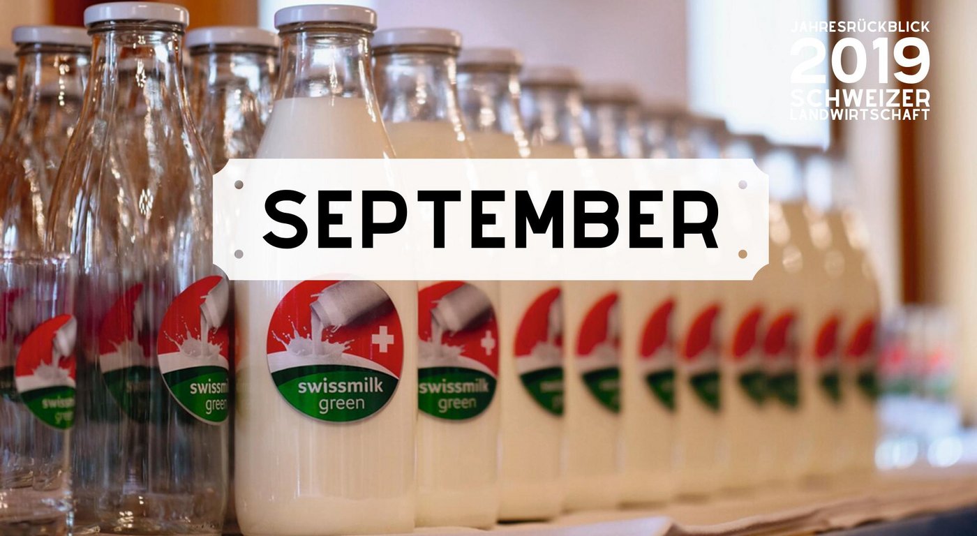 Bild Jahresrückblick: Monat September 2019 (Bild: BauZ)