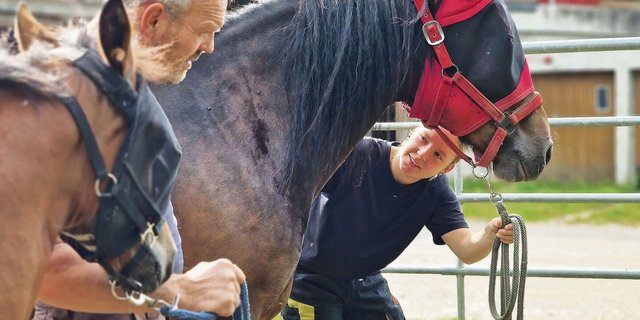 Die enge Zusammenarbeit auf dem Lehrbetrieb – etwa beim Umgang mit den Tieren – braucht gegenseitigen Respekt und Vertrauen.