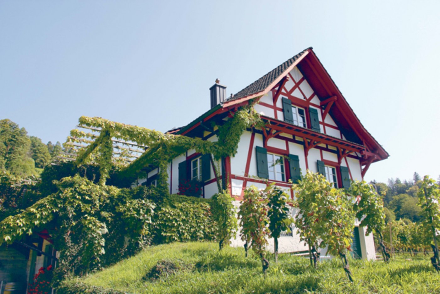 Sie freuen sich über die «neue» Wülflinger Trotte (v. l. n. r.): Andreas Wirth, Rebbaukommissär des Kantons Zürich, Rolf Gerber, Markus Kägi, Michele Bono und Strickhof-Direktor Ueli Voegeli.