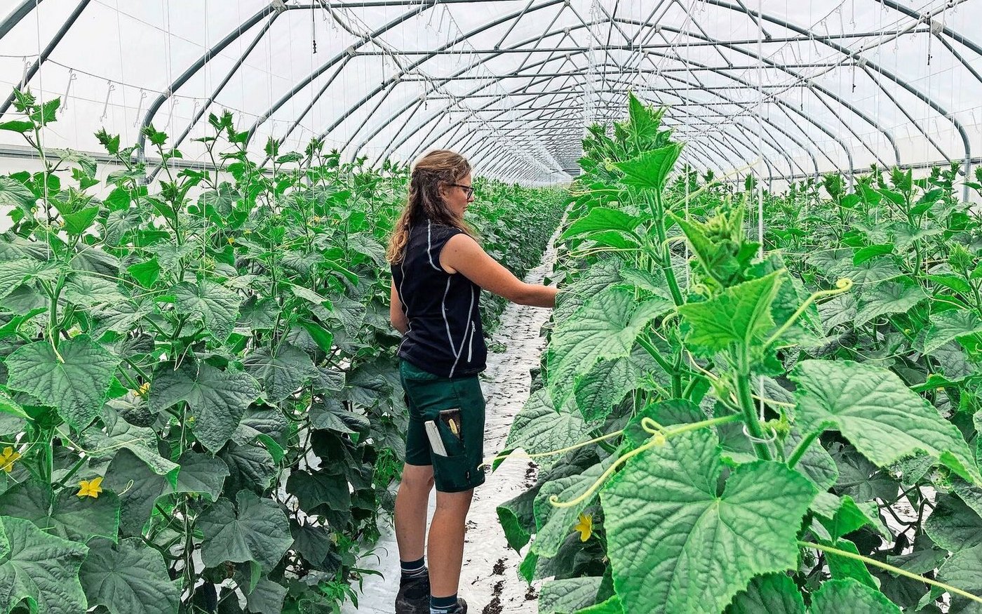 Legende bis zu Zweizeilig möglich Legende Legende Legende Legende Legende Legende Legende Legende Legende