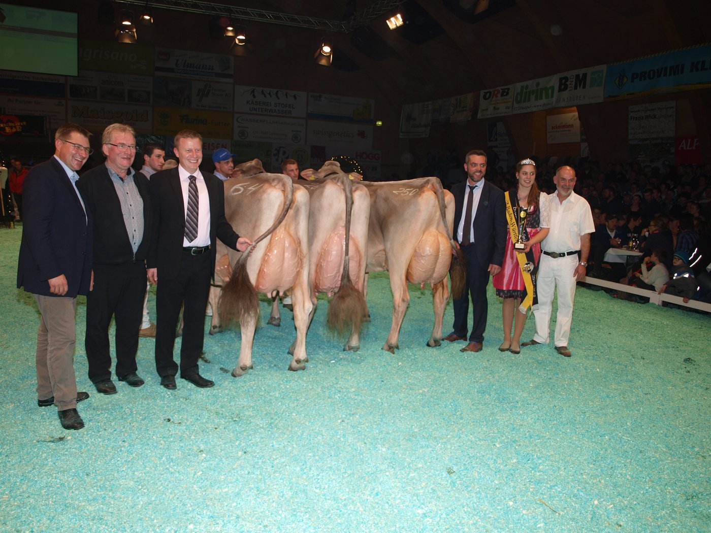 Thalmann’s Jongleur Rosalie (Mitte) holte auch den Schöneuter-Titel vor Wickli’s Brookings Wendy (r.) und G-Wal Jolden Janet (l.).