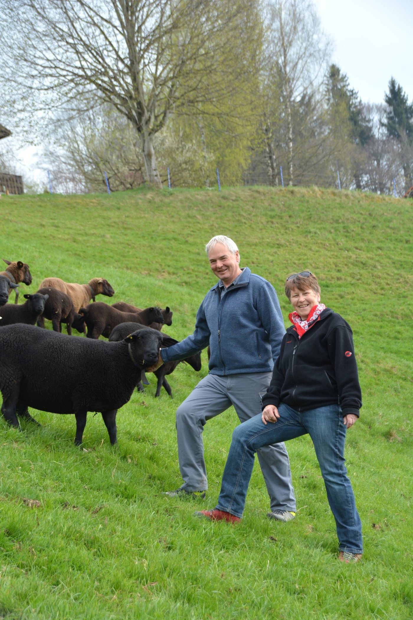 Marianne und Joseph Lötscher bei ihren Schwarzbraunen Bergschafen. Pro Muttertier und Jahr verkaufen sie aktuell 1,9 Lämmer unter dem neuen Label. (Bild Armin Emmenegger)