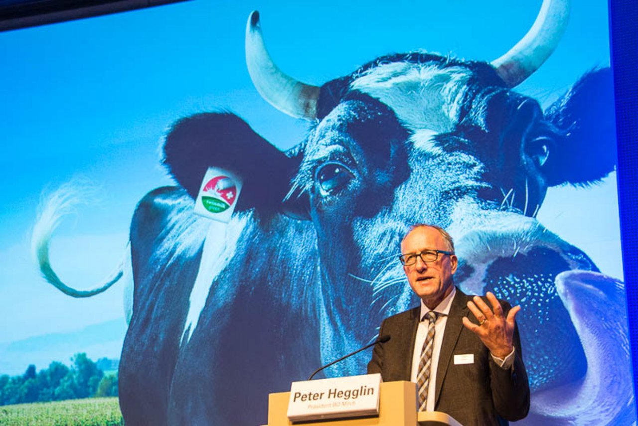 Peter Hegglin am Milchforum in Bern: der Präsident der Branchenorganisation Milch erklärt, dass der Start des Grünen Teppichs geglückt ist. Im Hintergrund die SMP-Werbekuh Lovely. (Bilder hja)