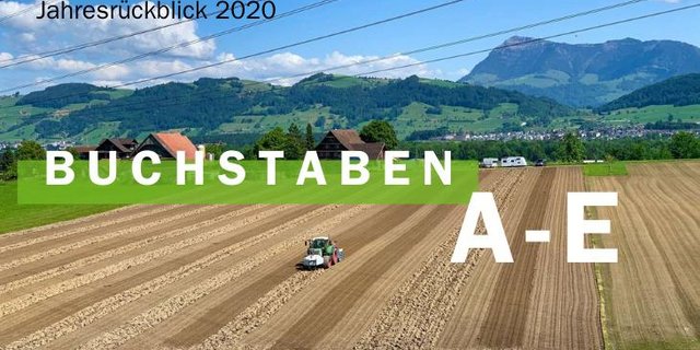 Jahresrückblick 2020 - Buchstaben A-E (Bild BauZ)