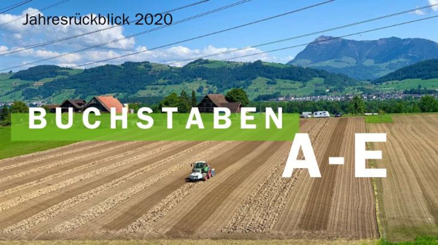 Jahresrückblick 2020 - Buchstaben A-E (Bild BauZ)