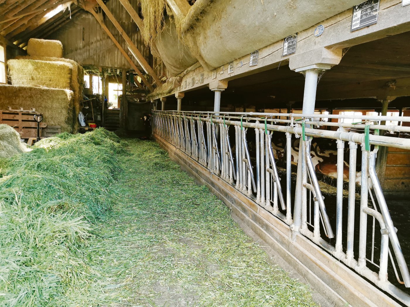 Auf dem Betrieb der Heinigers steht der älteste Laufstall in der Talschaft. Man habe ihn damals bei dessen Bau schon etwas belächelt, erinnert sich  Hans-Peter Heiniger  noch gut. 