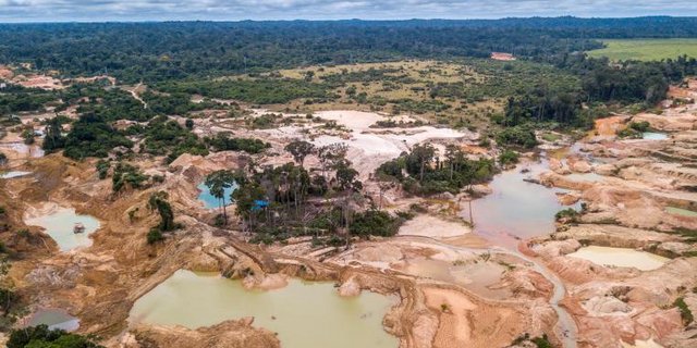 Abgeholzter Amazonas in Brasilien