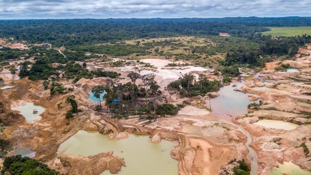 Abgeholzter Amazonas in Brasilien