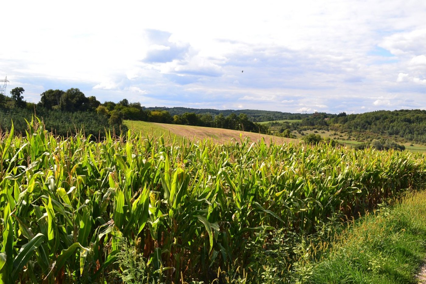 Kulturlandschaft in Frankreich. (Bild Pixabay)