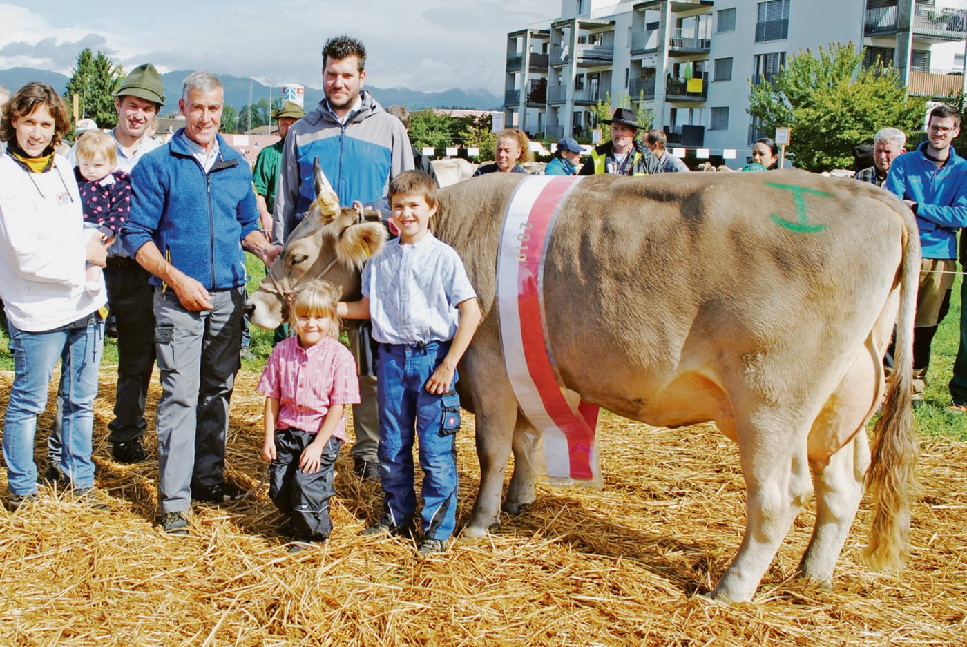 Miss OB March Gold Gloria von BG Schönbüel, Galgenen. 
