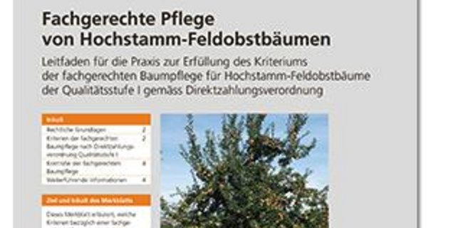 Der Leitfaden kostet 2.70 Fr. (Bild Screenshot Agridea)