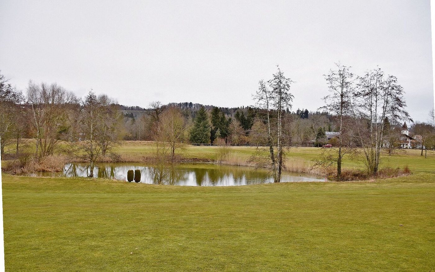 Rund um die Speicherseen für die Platzbewässerung sind für Fauna und Flora neue Lebensräume entstanden.