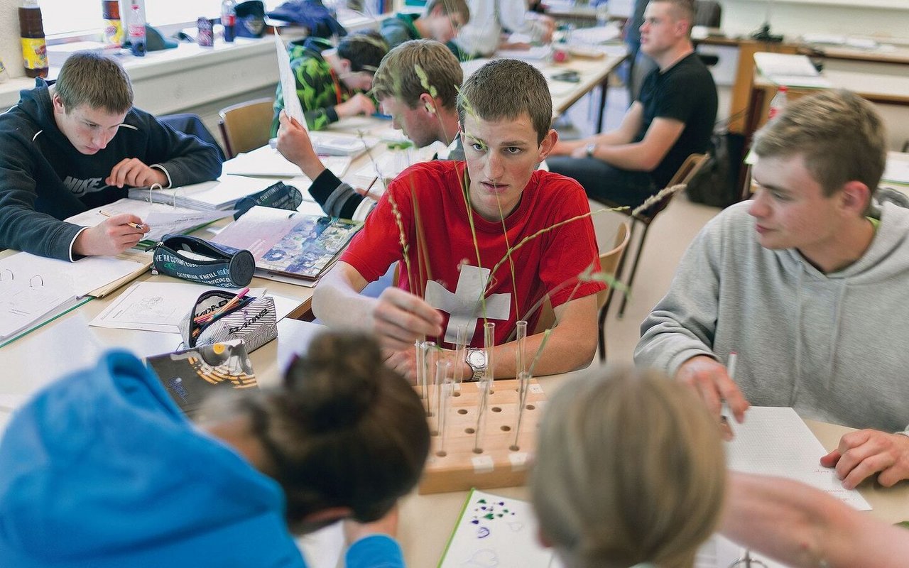 Wie viele Fachrichtungen zum Biolandbau braucht es in der Grundbildung? Braucht es gar eine eigene Ausbildung? Zu Fragen wie diesen sind die Meinungen geteilt. 