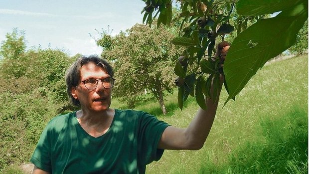Bruno Muff vom Haldihof in Weggis LU veredelt das Obst der Hochstammbäume zu wertschöpfungsstarken Destillaten und Essig. 