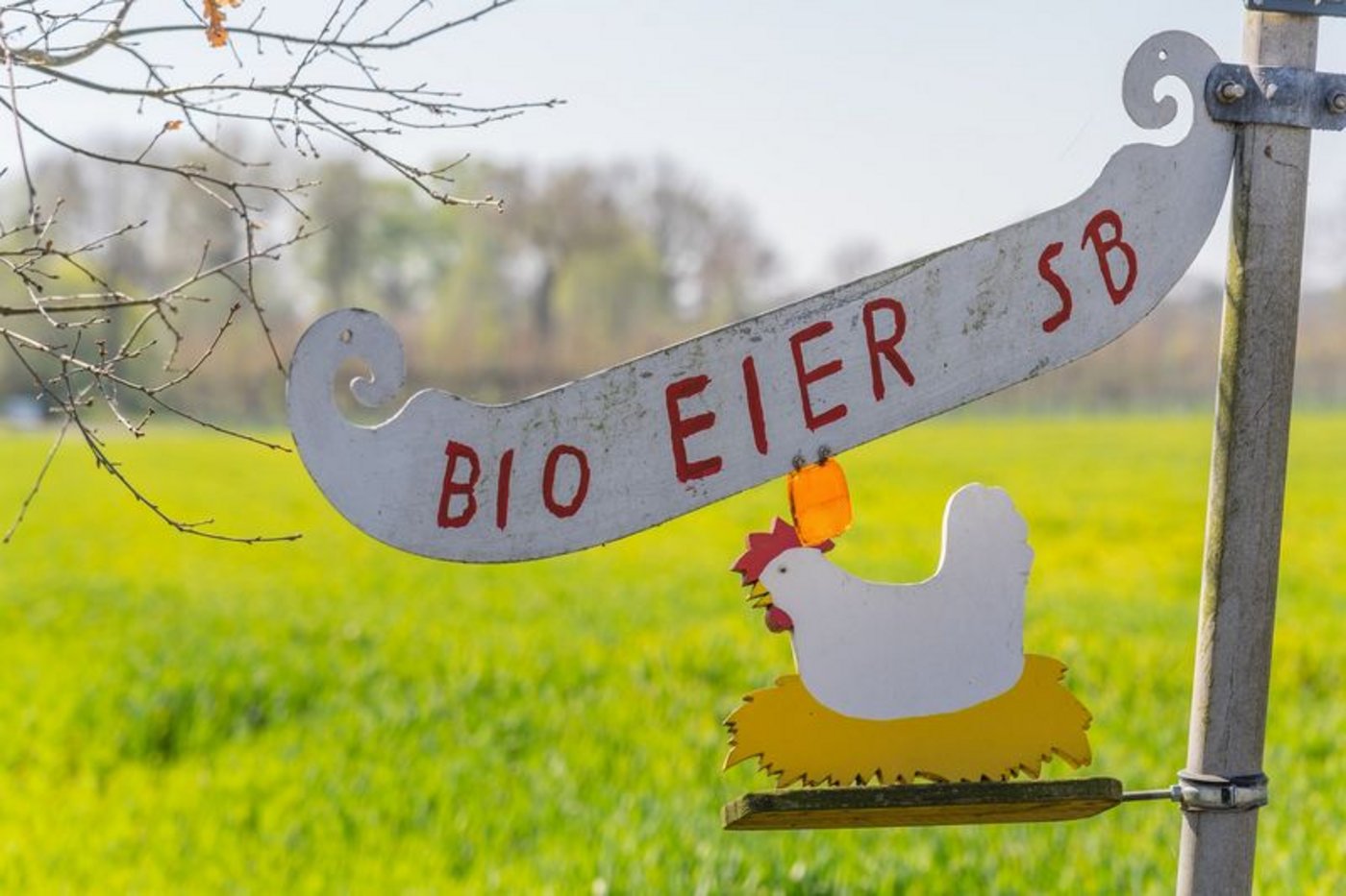 Wichtig ist, neben den nationalen Beschlüssen auch eventuelle kantonale Unterschiede zu beachten. (Bild AKrebs60/Pixabay)