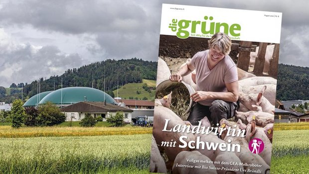 Lernen Sie in der August-Ausgabe eine Landwirtin mit Schwein und den südlichsten Bauern der Schweiz kennen. (Bild DG)