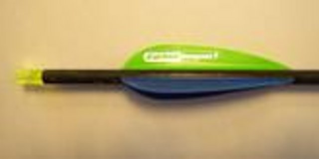 Mit diesem Pfeil wurde der Schwan verletzt. (Bild Kapo TG)