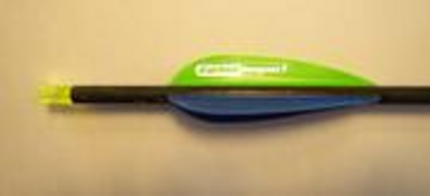 Mit diesem Pfeil wurde der Schwan verletzt. (Bild Kapo TG)