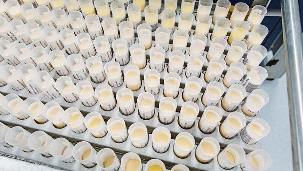 Analyse bei Suisselab: Der Modellwechsel der ZMP wirkt sich bislang positiv auf die Milchqualität aus. (Archivbild hj)