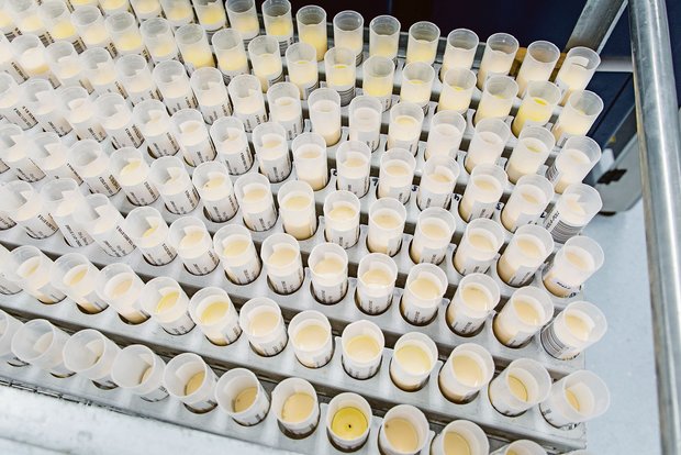Weniger Abzüge bei der ZMP-Milch Analyse bei Suisselab: Der Modellwechsel der ZMP wirkt sich bislang positiv auf die Milchqualität aus. (Archivbild hj)
