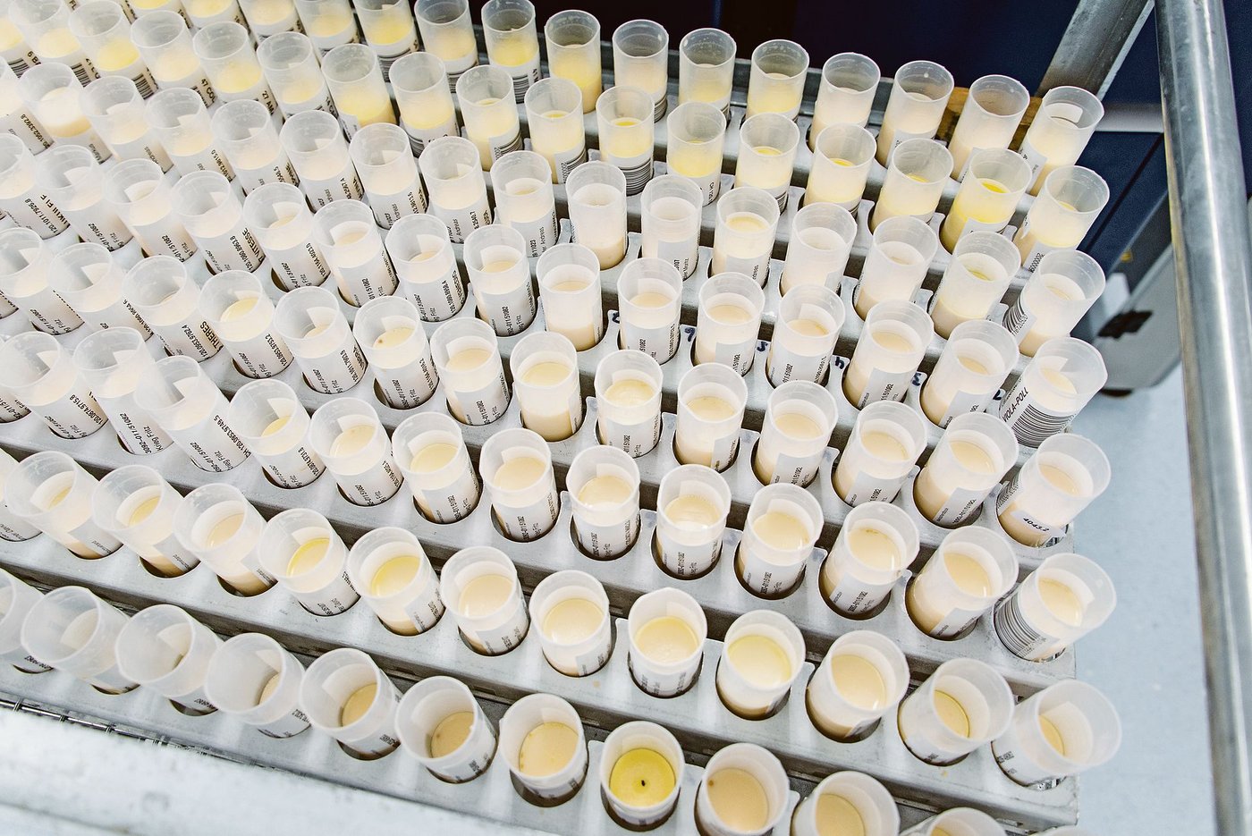 Analyse bei Suisselab: Der Modellwechsel der ZMP wirkt sich bislang positiv auf die Milchqualität aus.   (Archivbild hj)